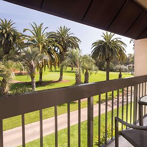 Double Room Two Double Beds Balcony